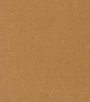 Robert Allen Fabric 066018 Kerala Nutmeg Hot on Sale