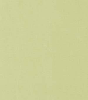 Robert Allen Fabric 066049 Kerala Pear Hot on Sale